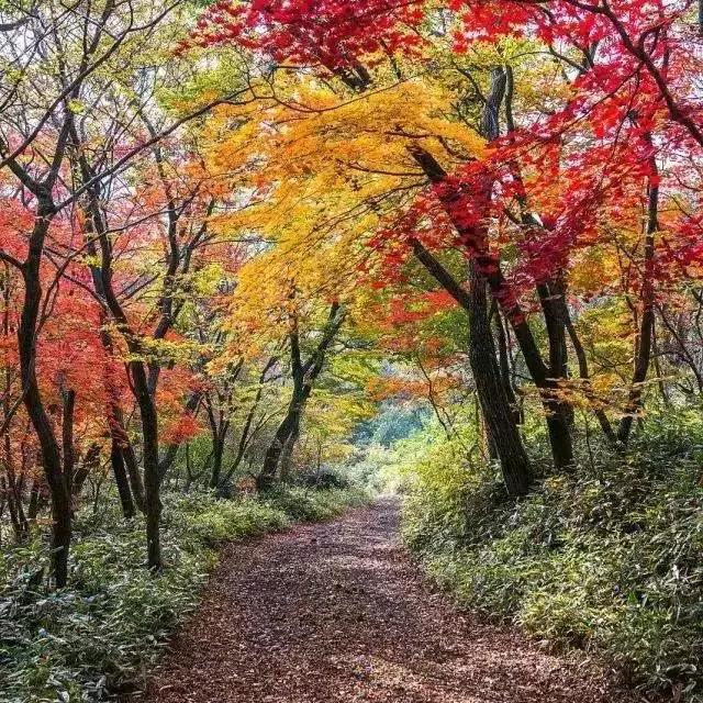 Jjytqf🌾🌾🌴🌱