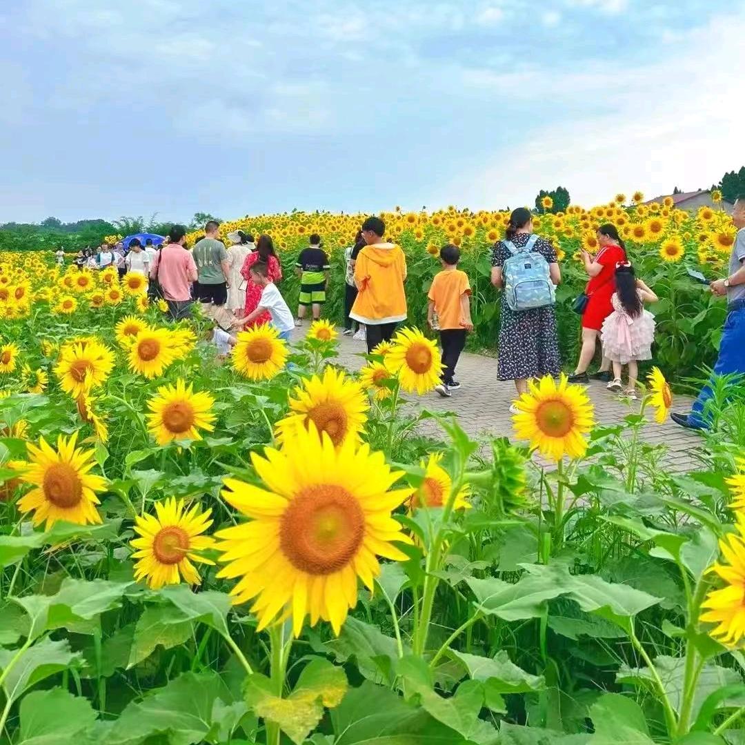 山那边依然是山⛰️