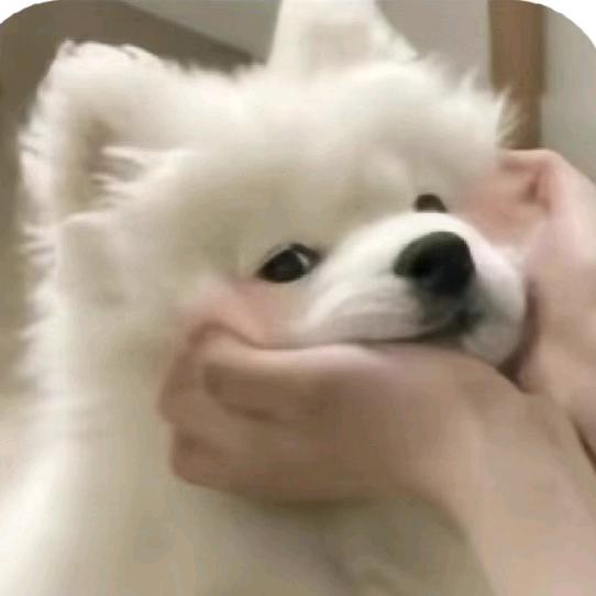 最爱汤达人
