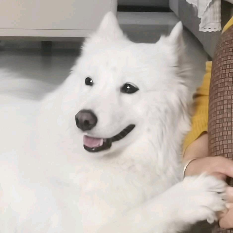 电脑组装维修