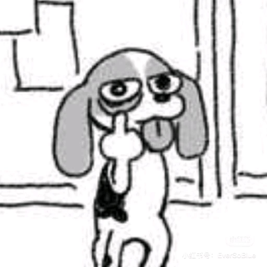 小乌鸦起飞咯