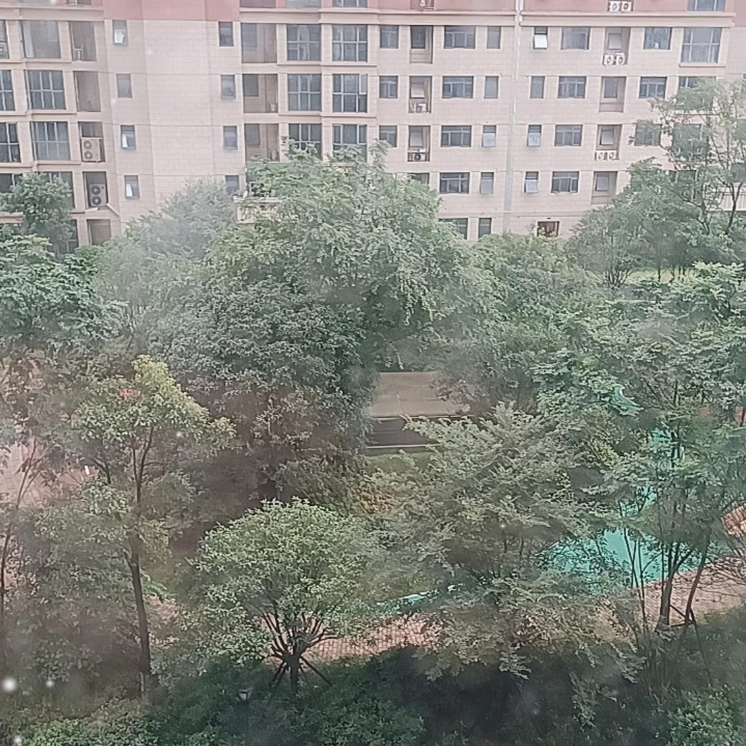 根哥