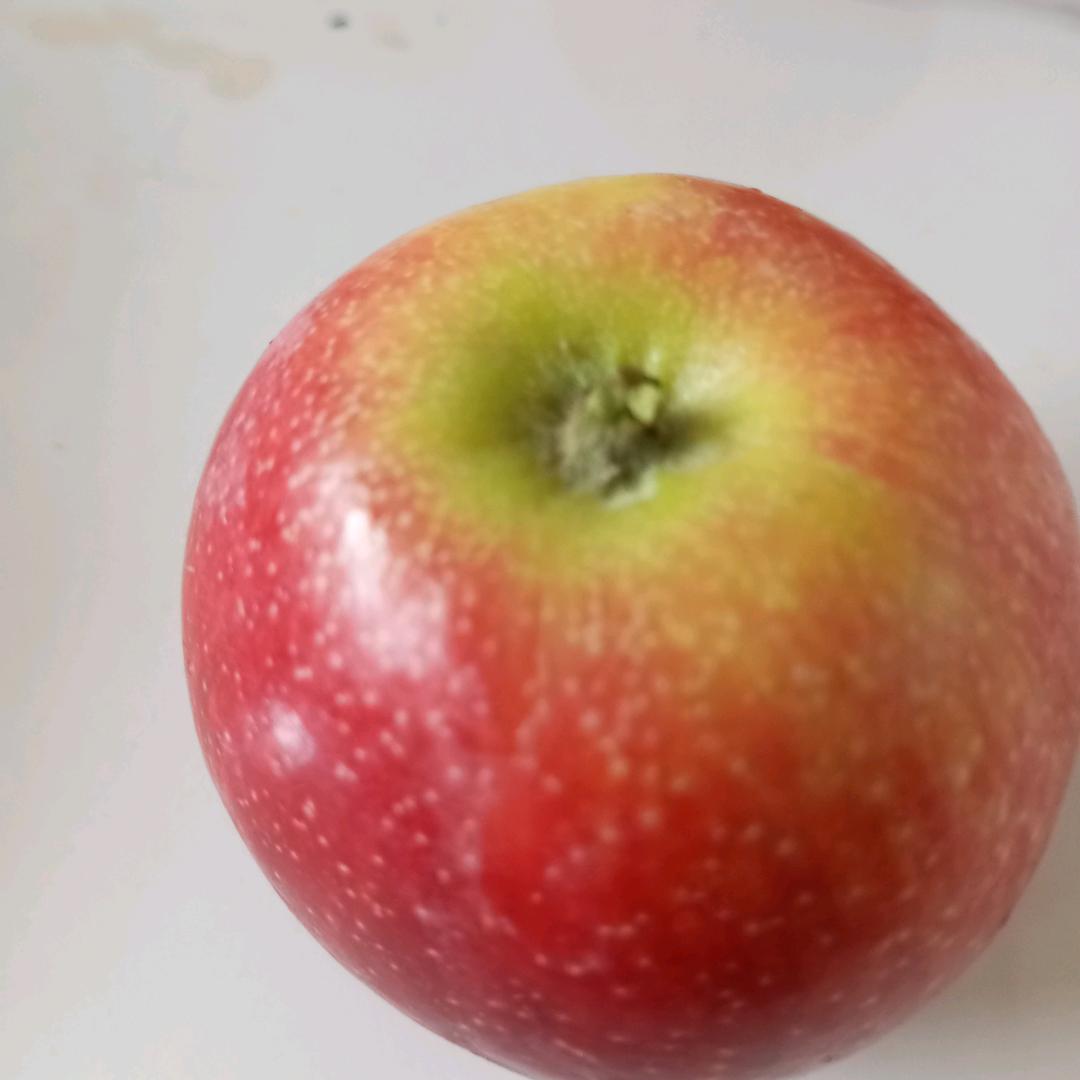 李金容