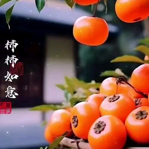 轩帆熙鸣四兄妹