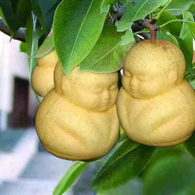 独立生活