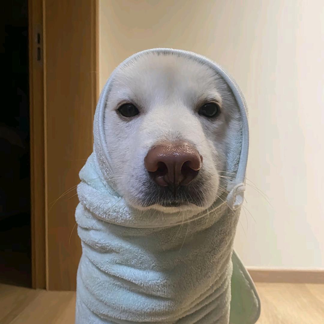 iuH
