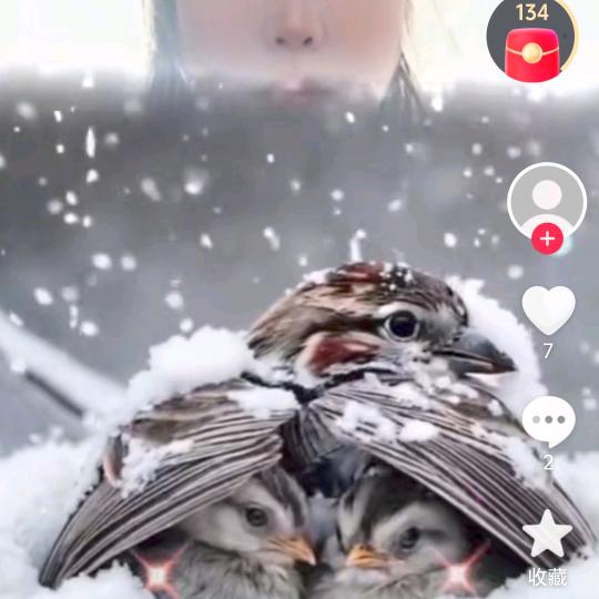 东海