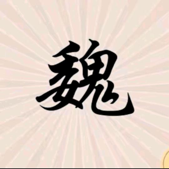 魏来有你