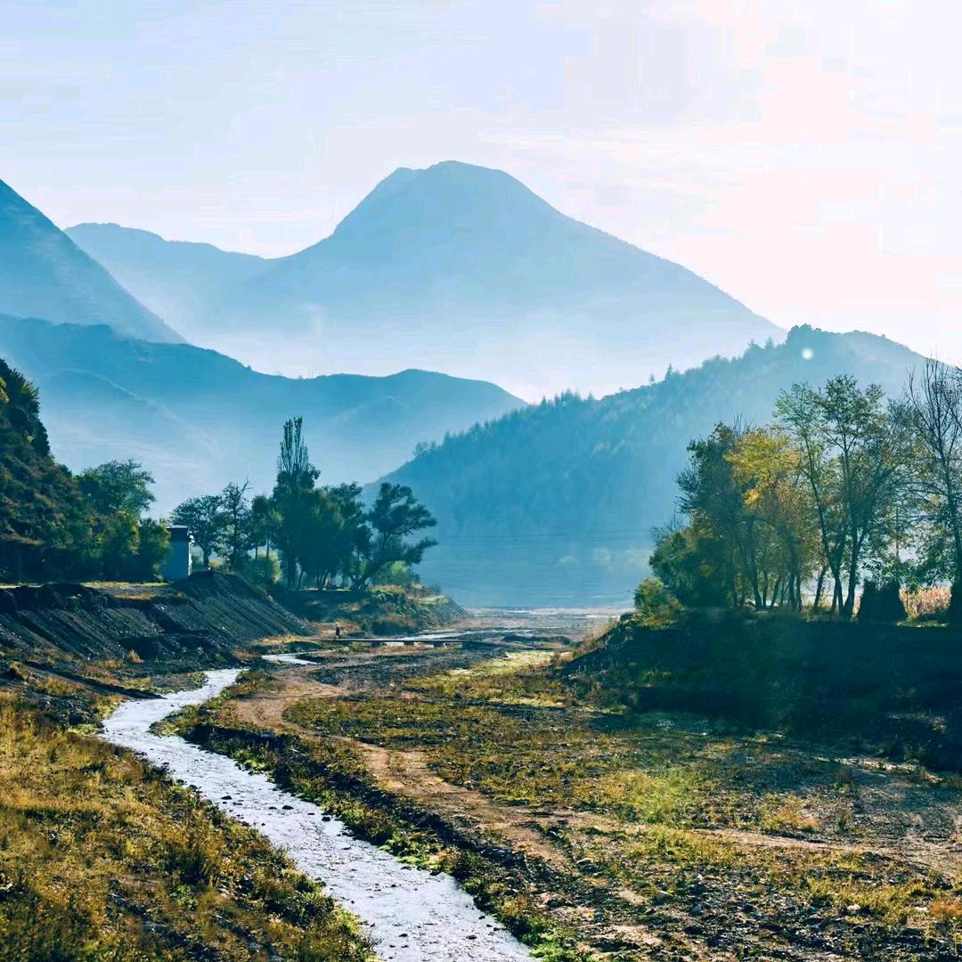 赵登峰