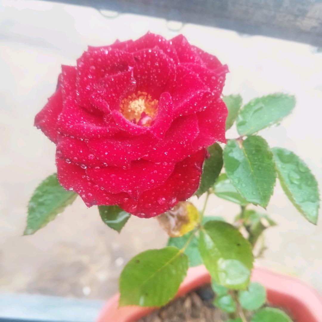 微~微