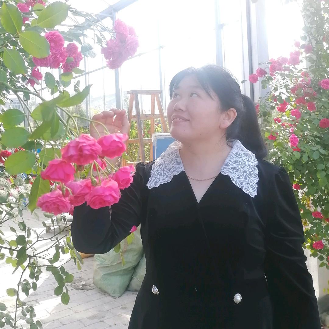 通城县石膏线定制