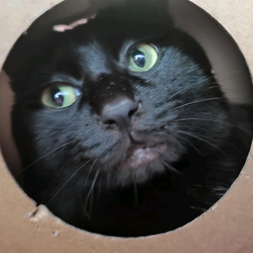 冬瓜西瓜哈密瓜瓜瓜