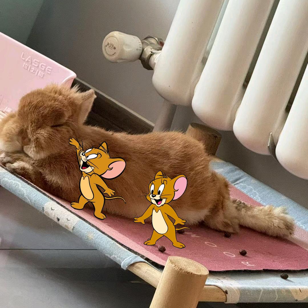 栗栗桑是只小兔叽