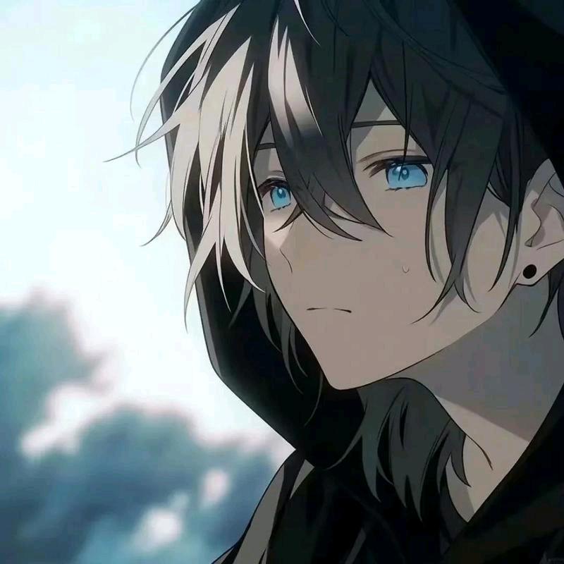 鱼晓苏(●—●)