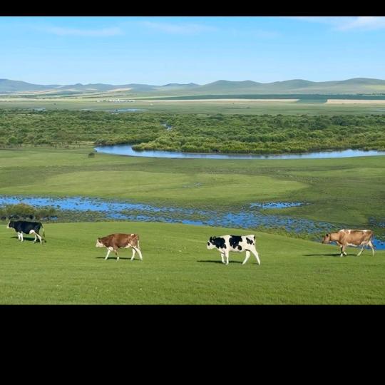 山是山，河是河！