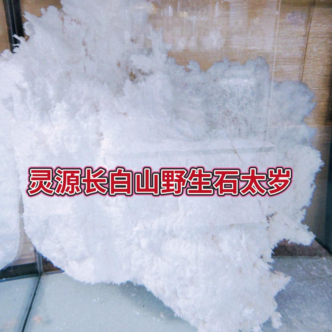 灵源长白山野生石太岁