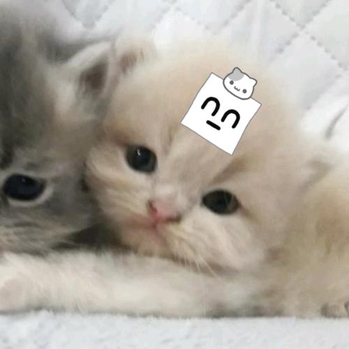赵6宇宙第一大帅哥