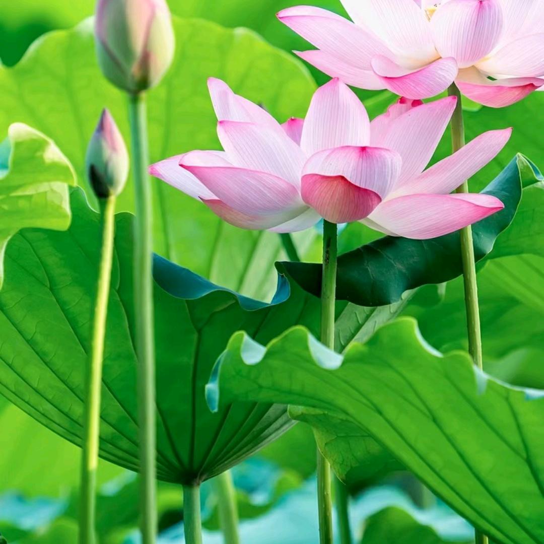 @💞༊⃝余生᭄爱꧔᪲ꦿ自己ᥫᦋᐝ: