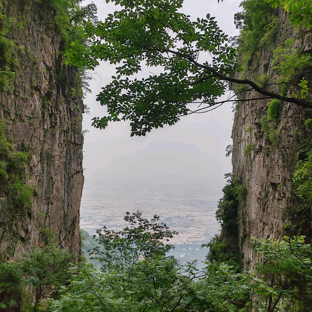 晓雨针织官方号