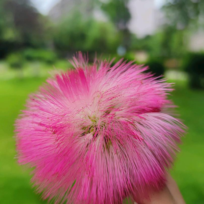 🌈💦葉子叶🍀