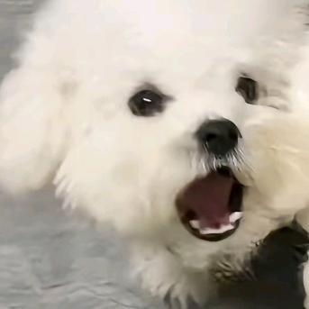 绿色健康有机蔬菜卷