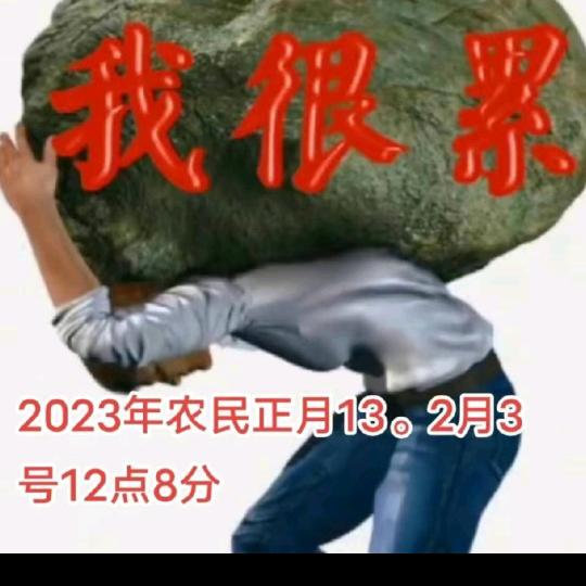 下辈子不想再来了