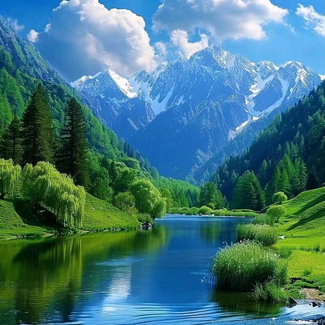 用户452023新起点