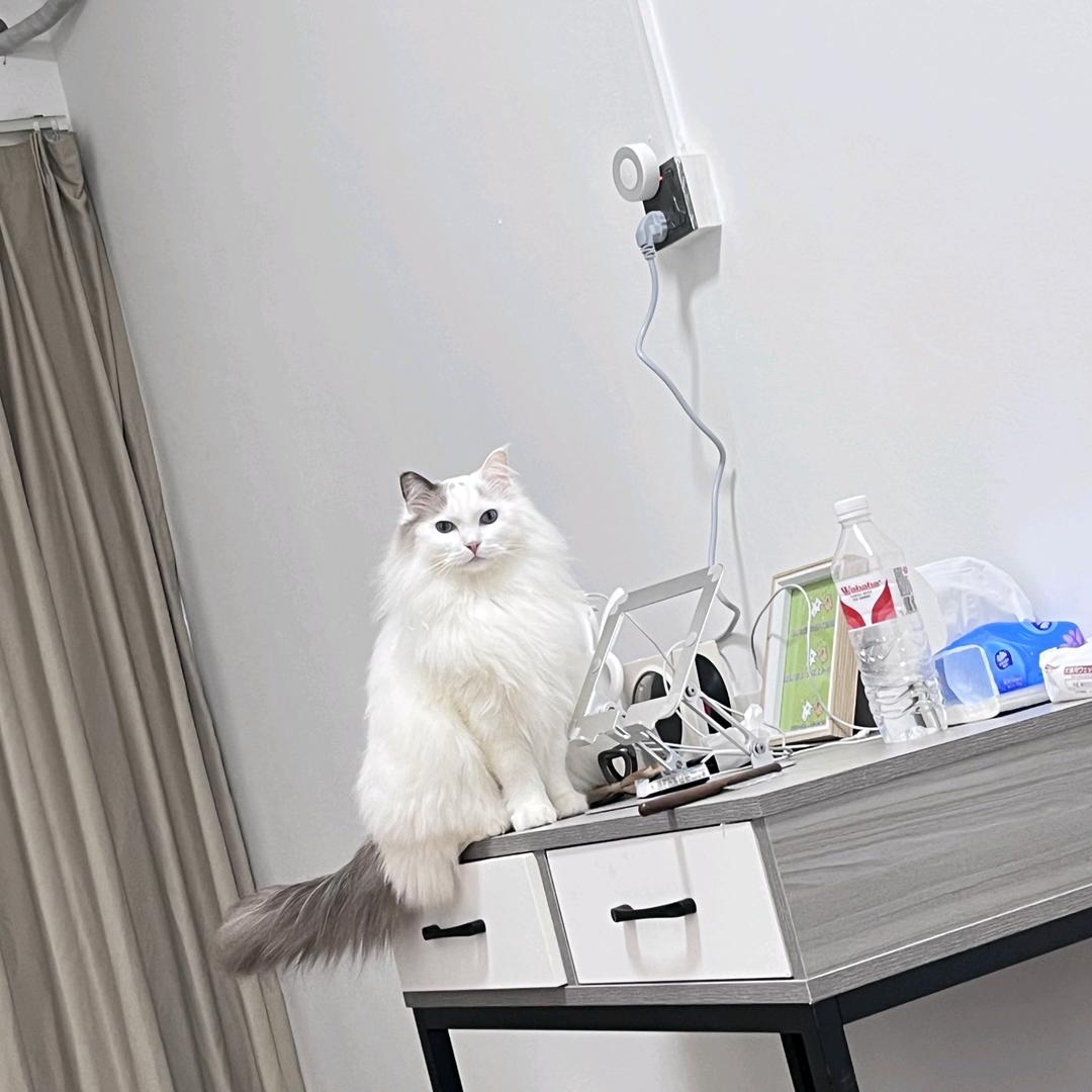 吹泡泡° ᐝ