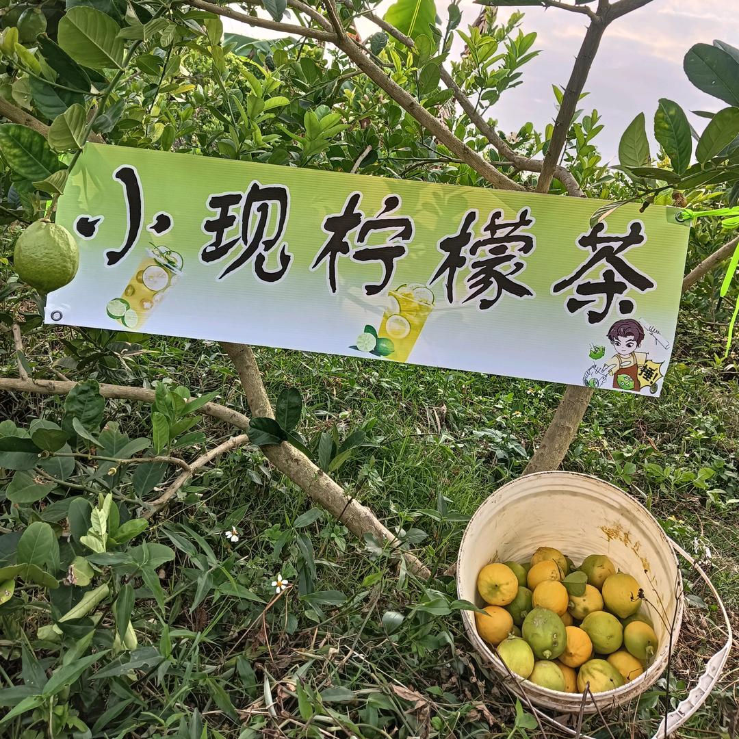 冬天宝宝