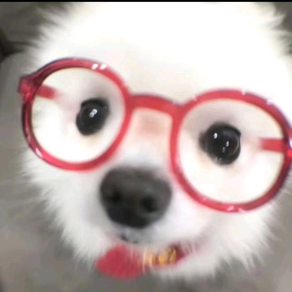 比格
