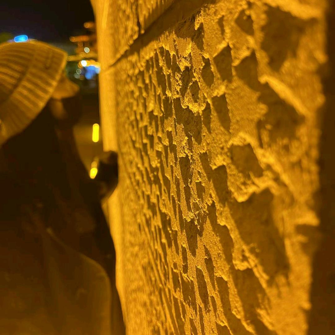 云姐  挑战500粉（加油）