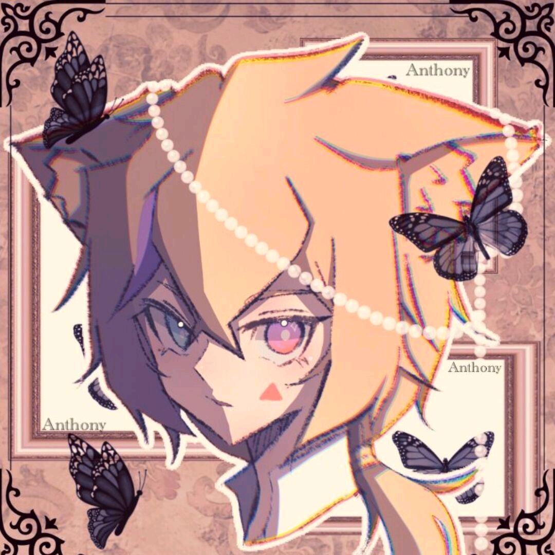 帝狐  岚