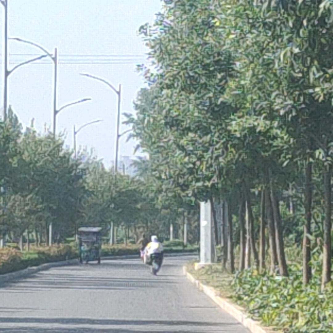 佛山街上的我