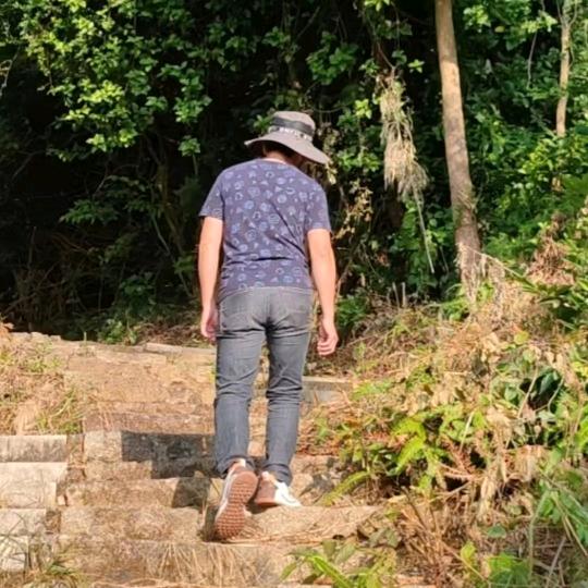 老苦瓜🐮伤感歌！【厨窗好物】