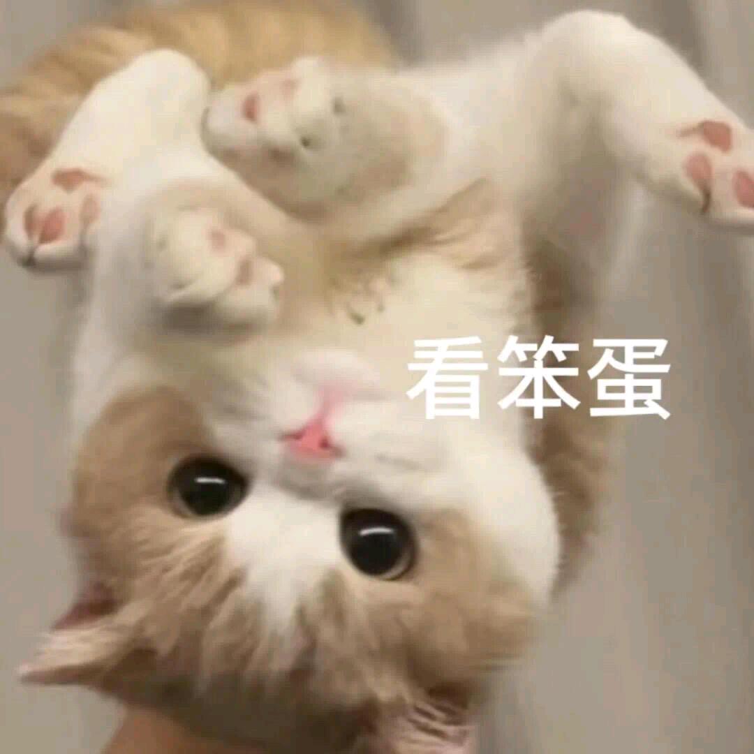 林夕