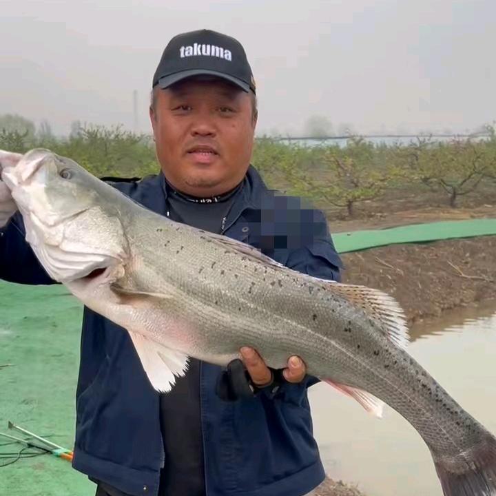 宠妻狂魔武哥《武圣拍竿》