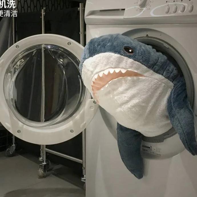 糖醋鱼（原神/崩铁）