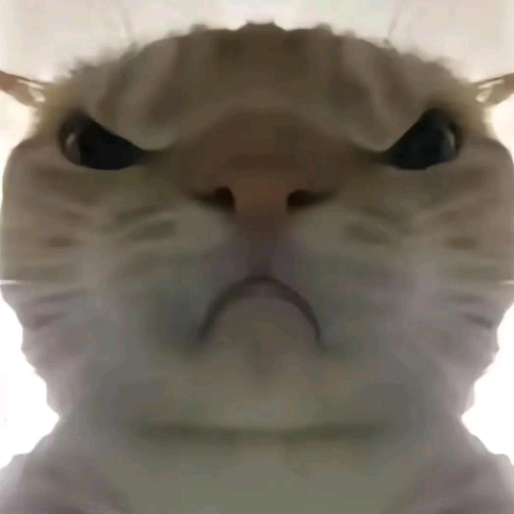 光环