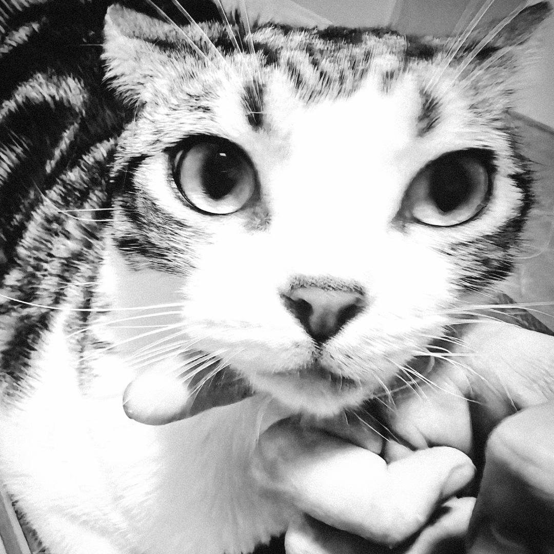 𝓢𝓪𝓽𝓲𝓼𝓯𝔂