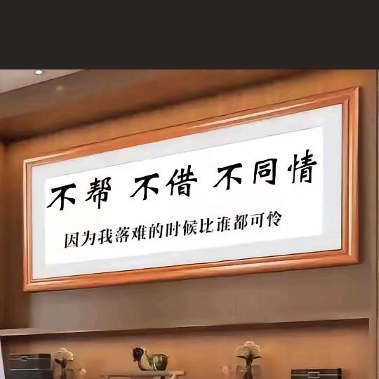自由飞翔