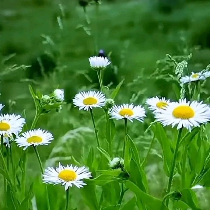 （春暖花开:)