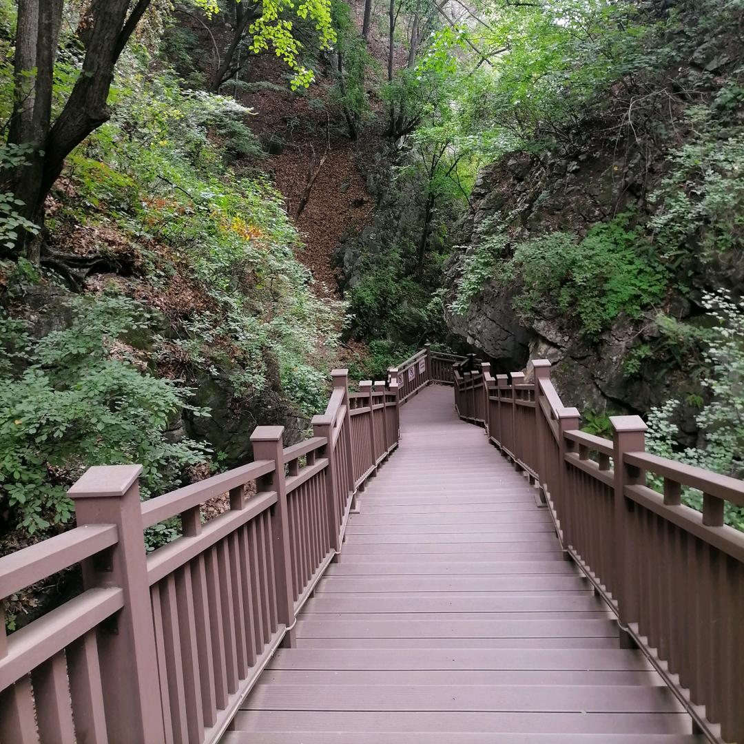 爱的承诺