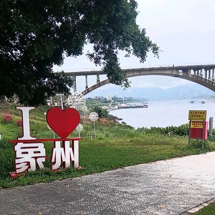定哥