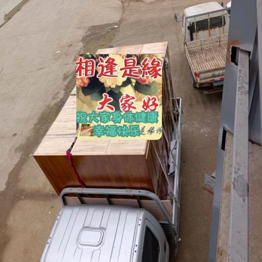 张玉萍（家具批发，等）