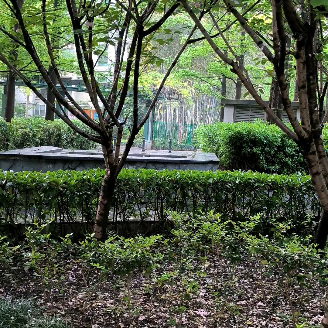 独步天下