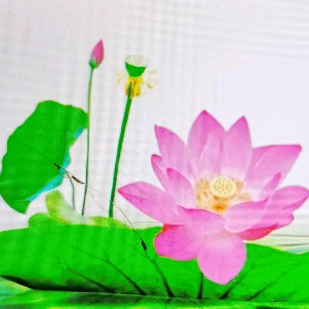 简单自然  生命•爱