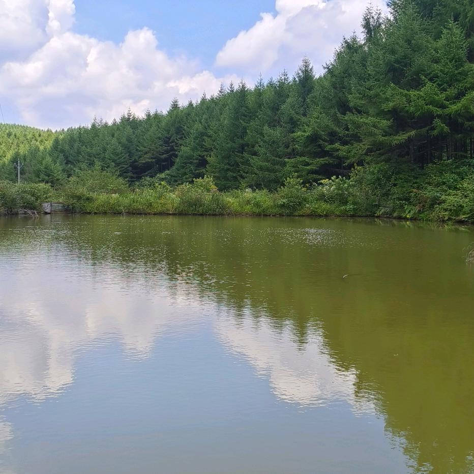 先爱自已在爱他人