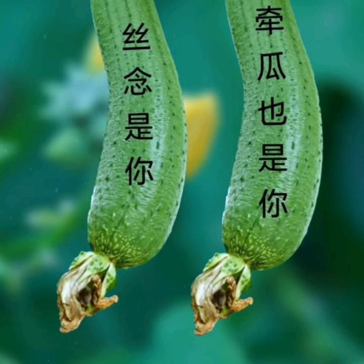 相遇一生