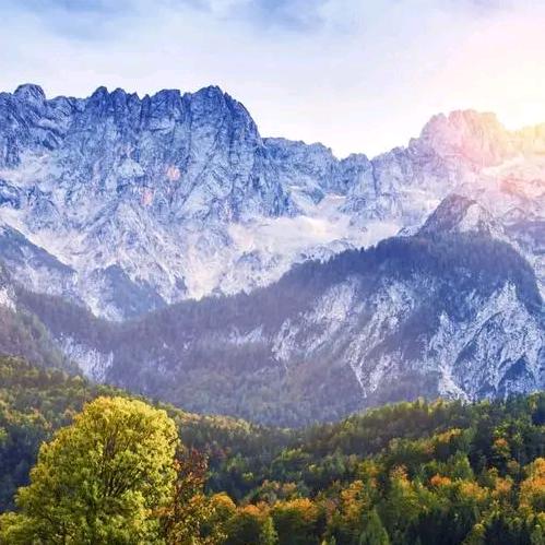 济南洁城园林绿化有限公司