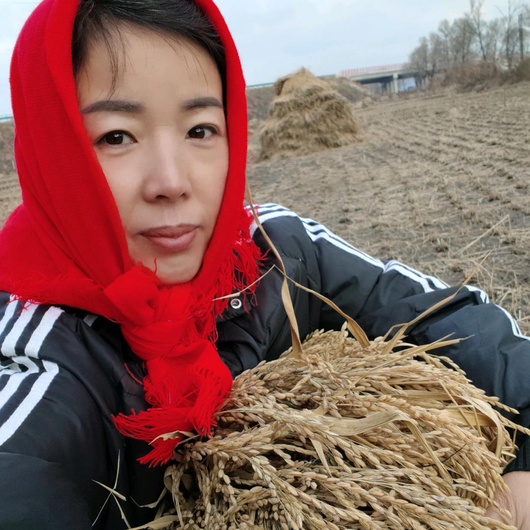 半疯姐，五常